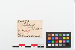 Etiketten zu Perlenkette (NHMW-PRAE-024099)